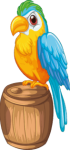 pappagallo